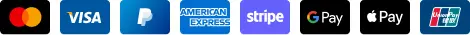 Icônes de Mastercard, Visa, PayPal, American Express, Stripe, Google Pay, Apple Pay, et Mobicash