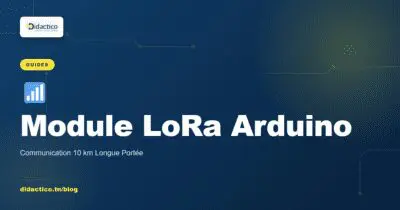 Module LoRa Arduino SX1276 : Communication 10 km Longue Portée