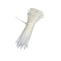 Collier Plastique 2.5x100mm