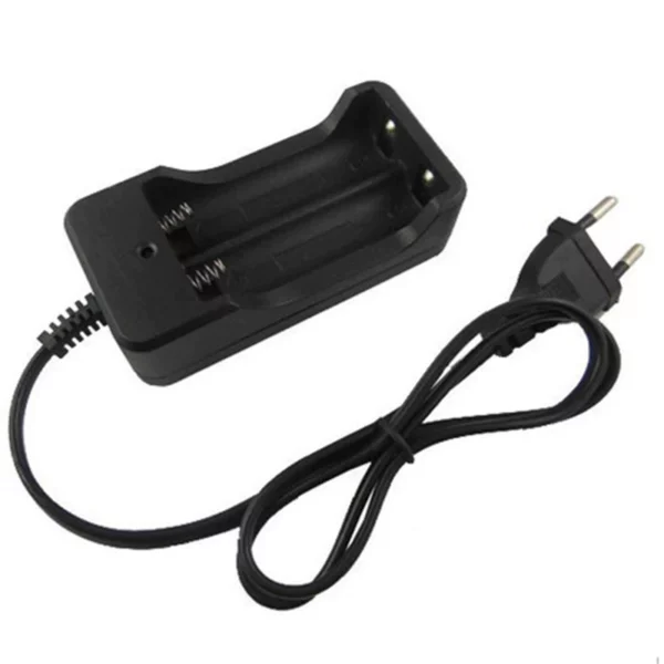 Chargeur de batterie lithium-ion 2*18650
