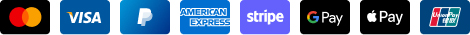 Icônes de Mastercard, Visa, PayPal, American Express, Stripe, Google Pay, Apple Pay, et Mobicash