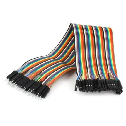 fil jumper 40 - 40 Fil jumper Male/Femelle 40 cm - Didactico Tunisie