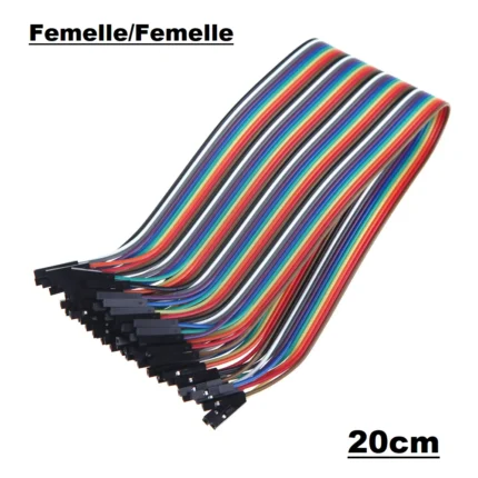 Câble Dupont femelle-femelle multicolore de 20 cm