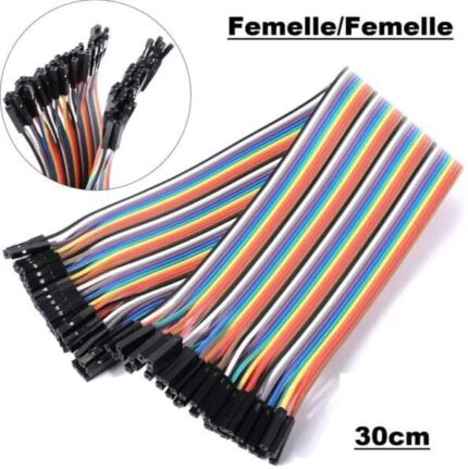 fil jumper femelle - Didactico Tunisie