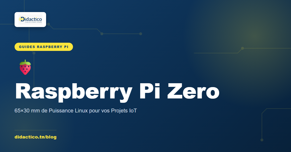 Raspberry Pi Zero : 65×30 mm de Puissance Linux pour vos Projets IoT