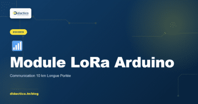 Module LoRa Arduino SX1276 : Communication 10 km Longue Portée